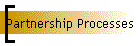 Partnership Processes